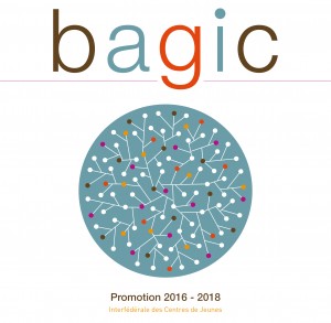 ICJ_bagic_brochure_21_04_2016_def-1